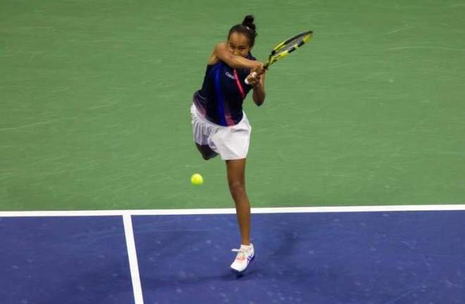 引入的中卫 引入的中卫