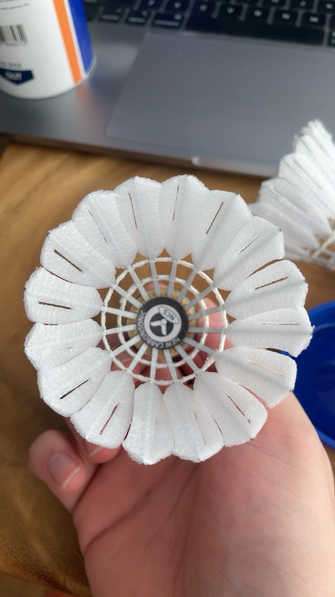 来了他们的 来了他们的